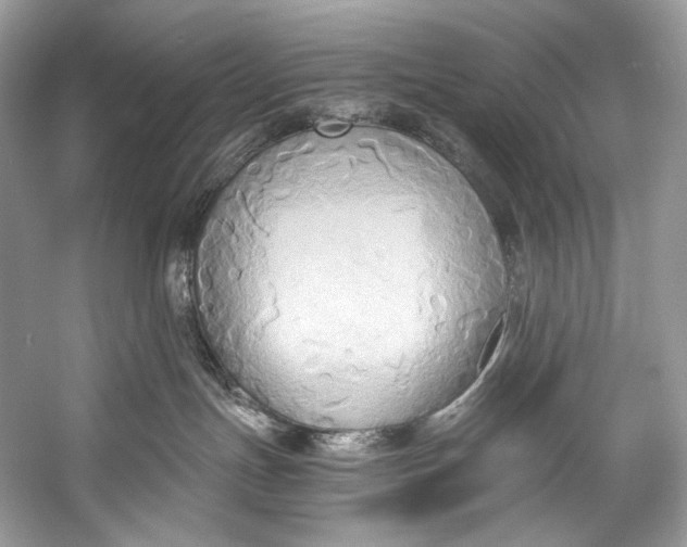 X0000058820191200510171547
