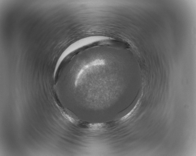 X0000058820192200510171547