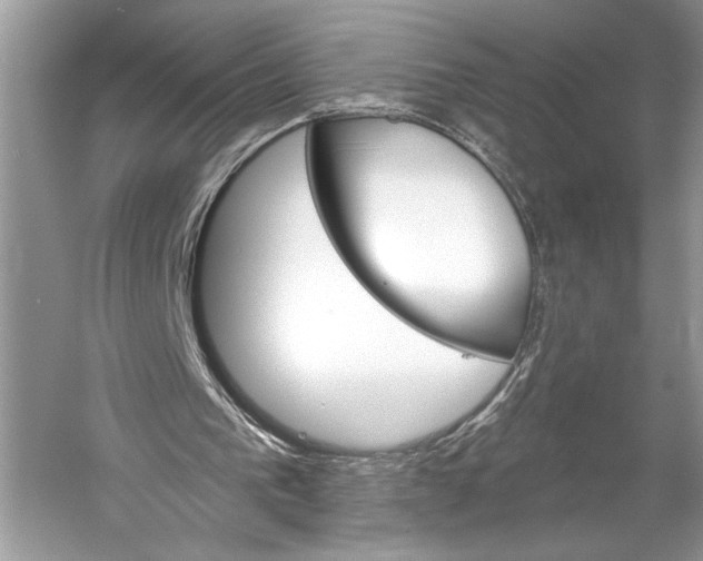 X0000058820193200510171546