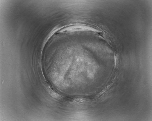 X0000058820195200510171546