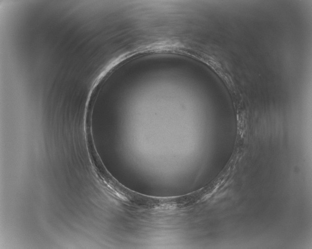 X0000058820196200510171546
