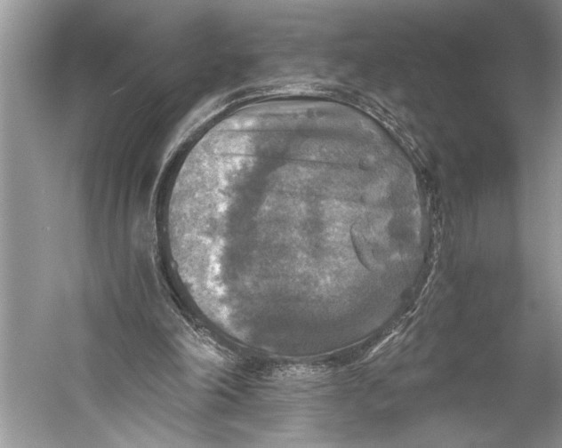 X0000058820198200510171546