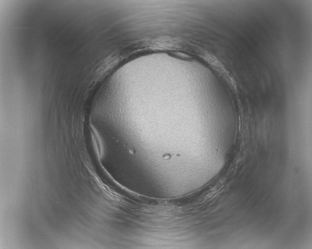 X0000058820201200510171546