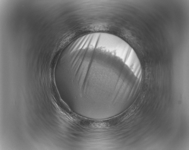 X0000058820202200510171546