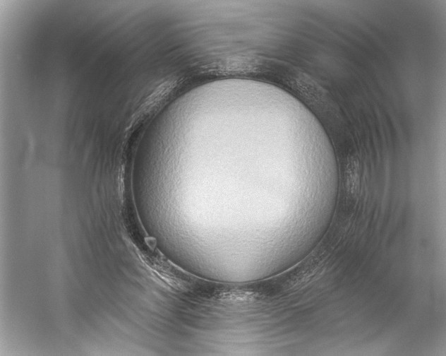 X0000058820206200510171546