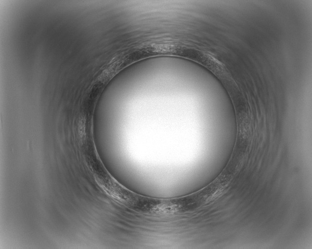 X0000058820213200510171545