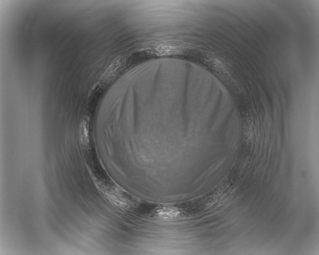 X0000058820214200510171545