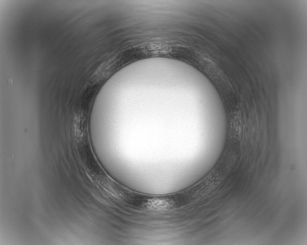 X0000058820218200510171545