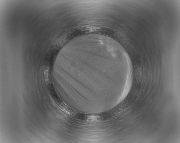 X0000058820222200510171545