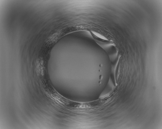X0000058820223200510171545