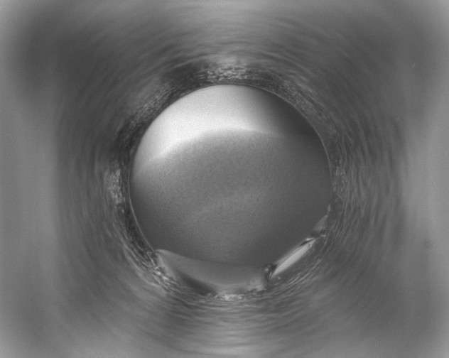 X0000058820224200510171545