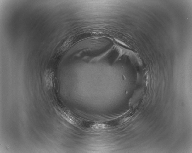 X0000058820227200510171545