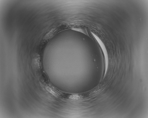 X0000058820231200510171545