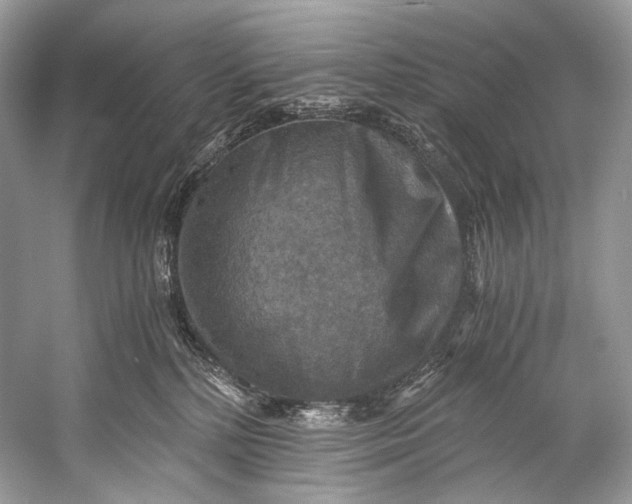 X0000058820232200510171545