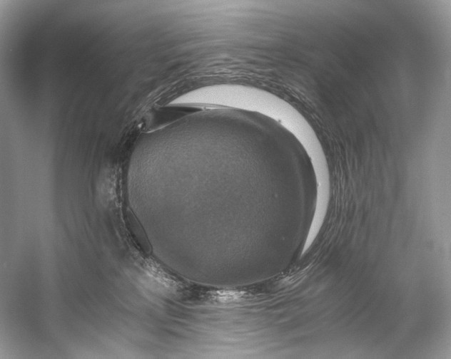 X0000058820233200510171545
