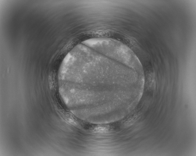 X0000058820236200510171545