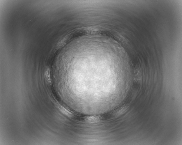 X0000058820238200510171545