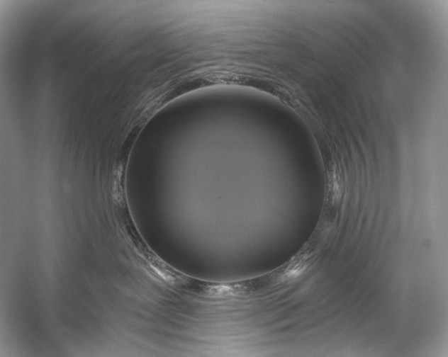 X0000058820239200510171545
