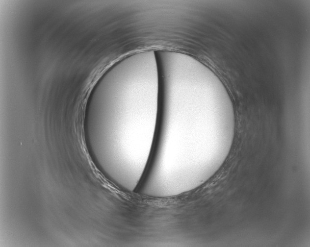 X0000058820241200510171544