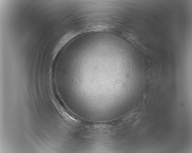 X0000058820242200510171544