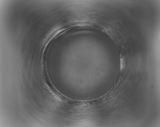 X0000058820243200510171544