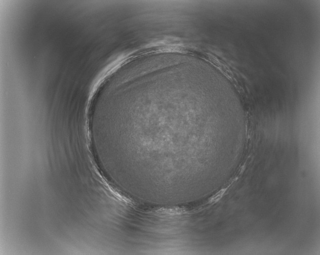 X0000058820245200510171544