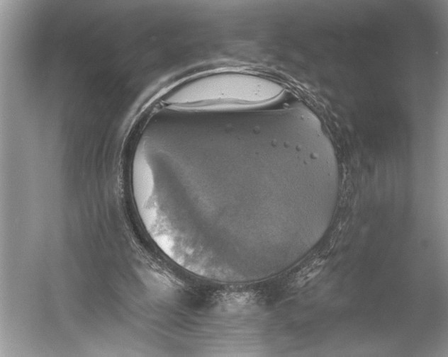 X0000058820247200510171544