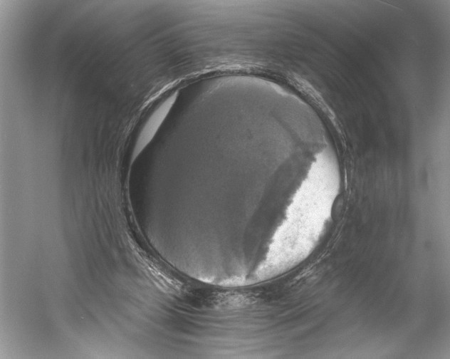 X0000058820249200510171544