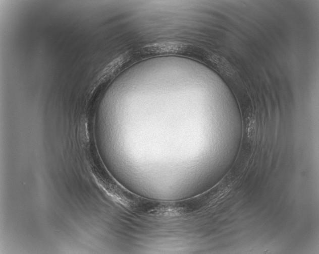 X0000058820254200510171544