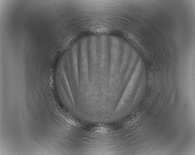 X0000058820259200510171544