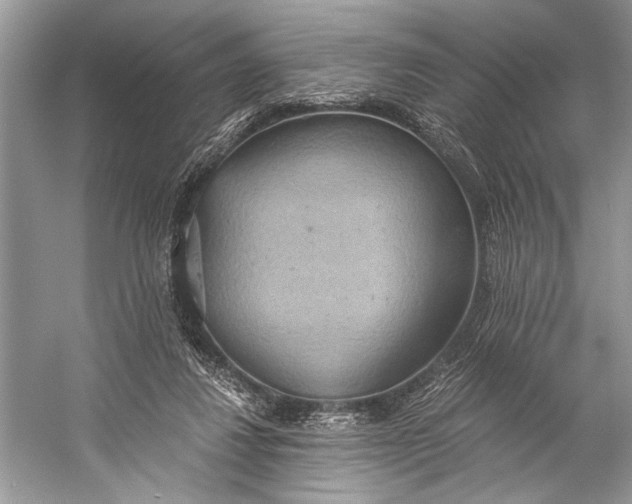 X0000058820260200510171544