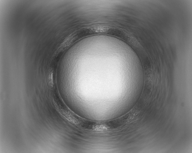 X0000058820262200510171545
