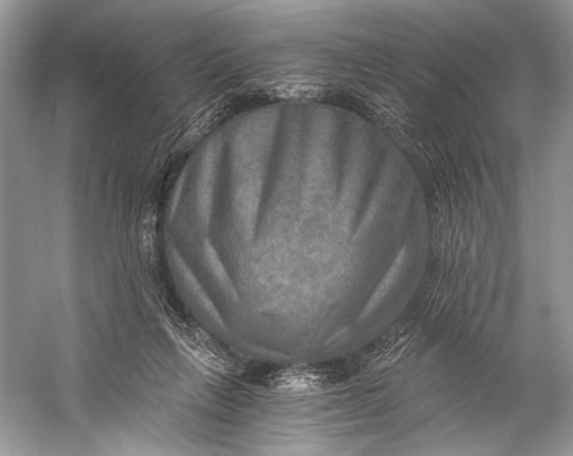 X0000058820263200510171545