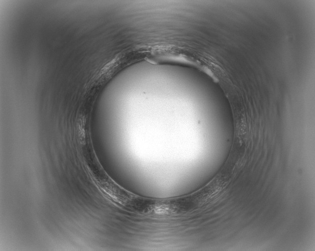 X0000058820264200510171545