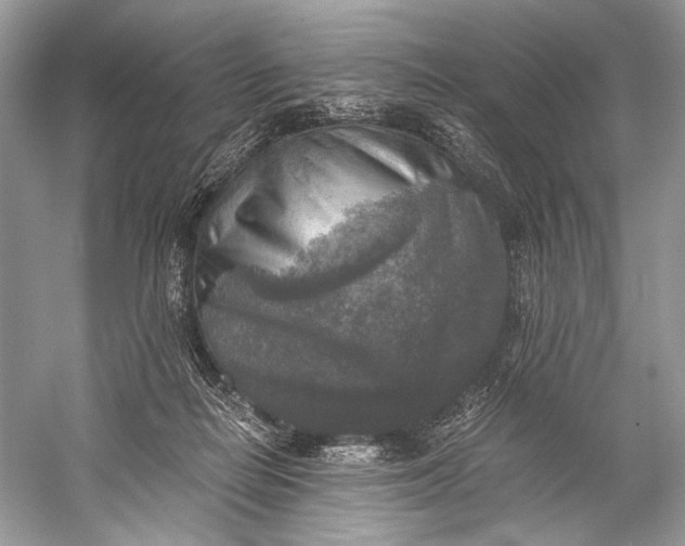 X0000058820266200510171545