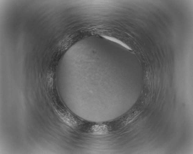 X0000058820271200510171545