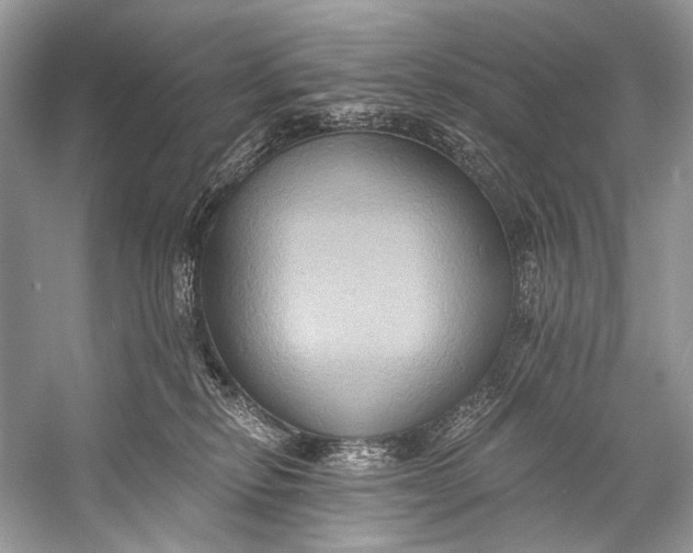 X0000058820278200510171545