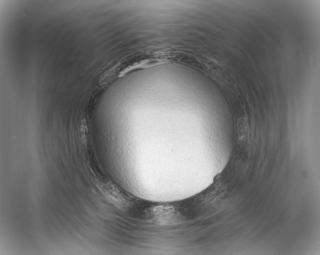 X0000058820279200510171545