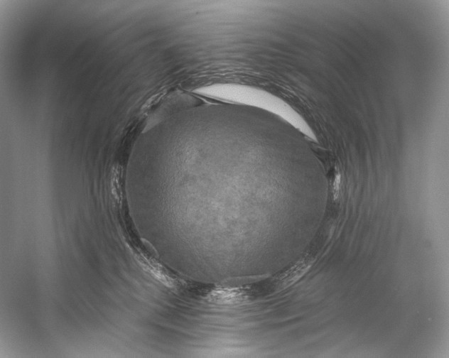 X0000058820280200510171545