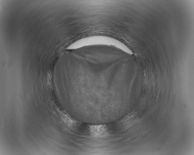 X0000058820281200510171545