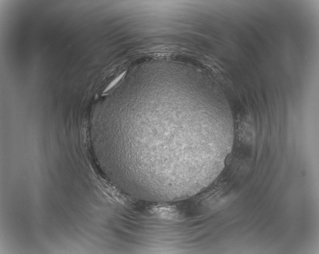 X0000058820283200510171545