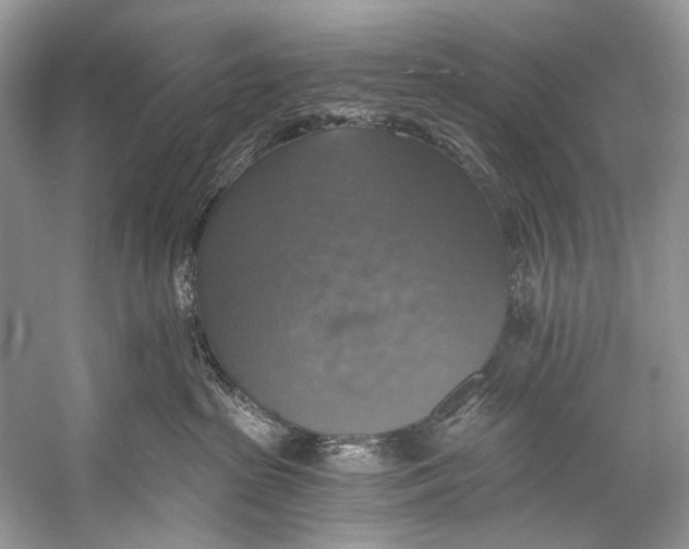 X0000058820285200510171545