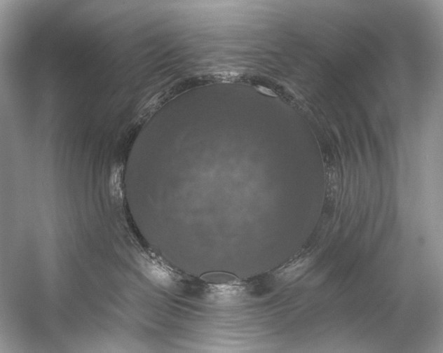 X0000058820286200510171545