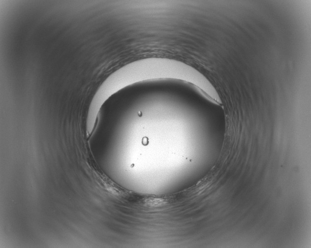 X0000058820287200510171545