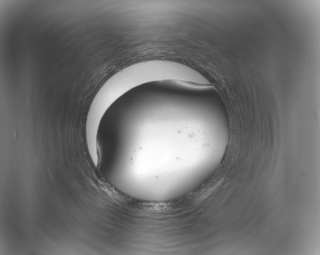 X0000058820288200510171545