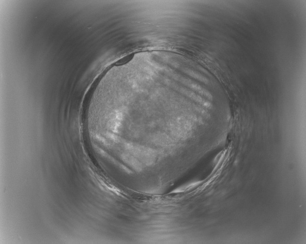X0000058820290200510171544