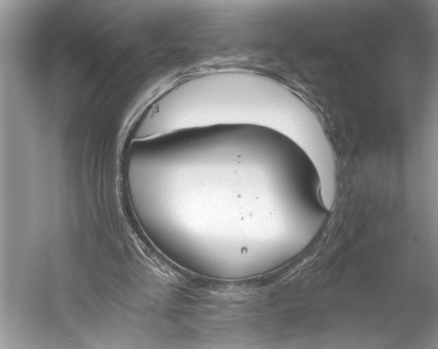 X0000058820293200510171544