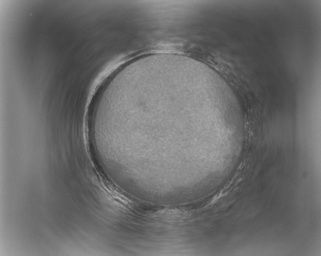 X0000058820294200510171544