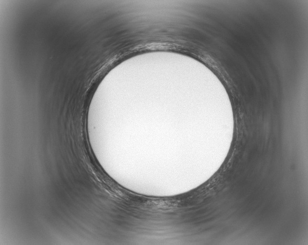 X0000058820297200510171544