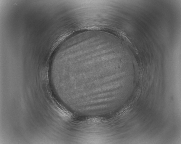 X0000058820299200510171544